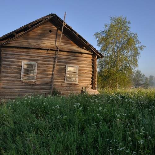 Photo #10735440