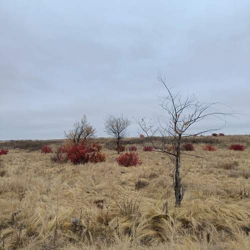 Photo #10735707