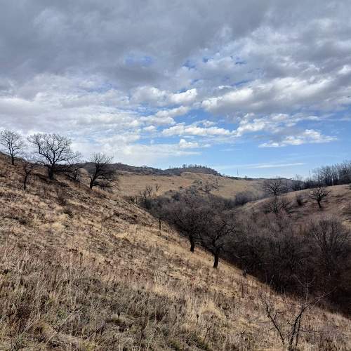 Photo #10735730