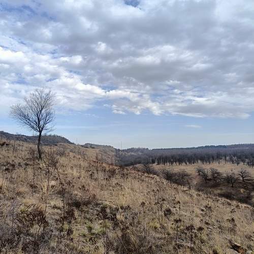 Photo #10735774