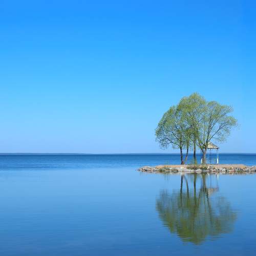 Photo #10735870