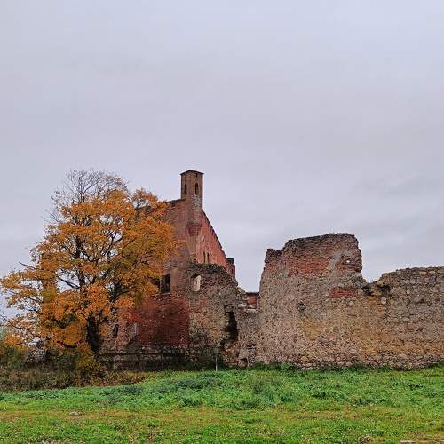 Photo #10735916