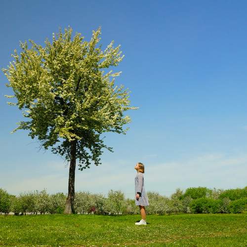 Photo #10736146