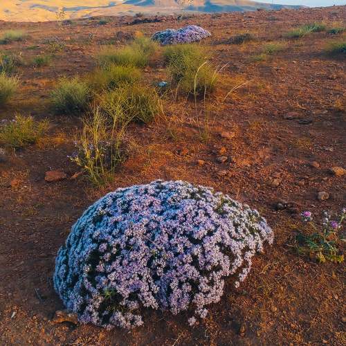Photo #10736427