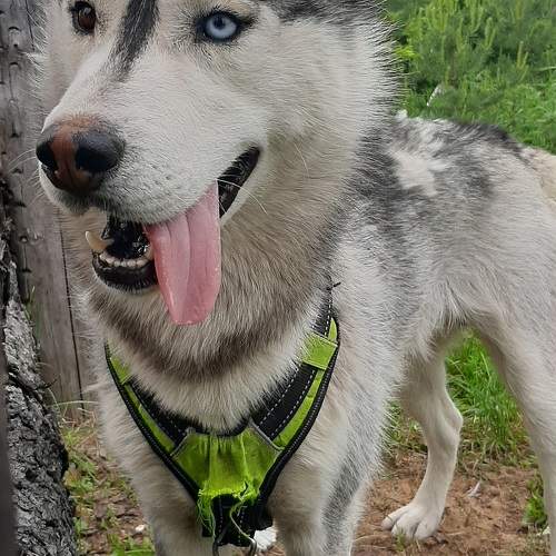 Photo #10736538