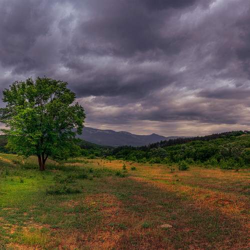 Photo #10736874