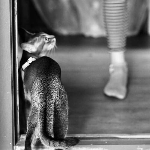 Photo #10737192