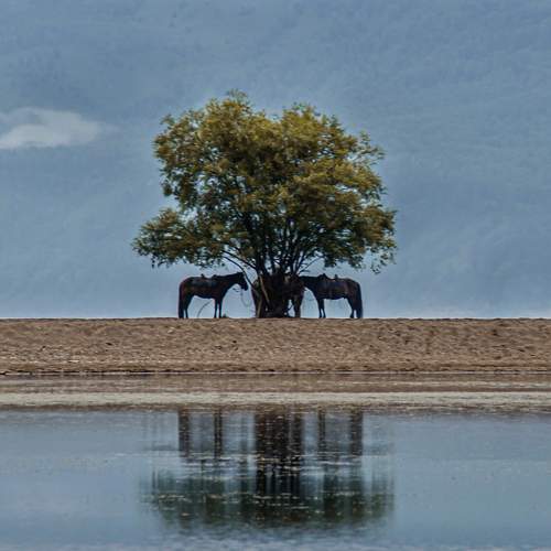 Photo #10737278