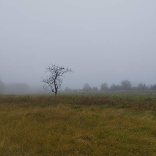 Photo #10737299