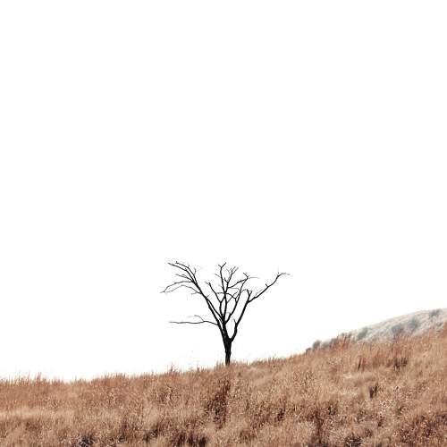 Photo #10737311