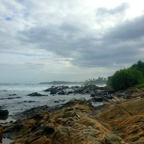 Photo #10737416