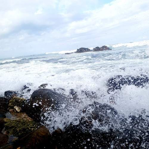 Photo #10737423