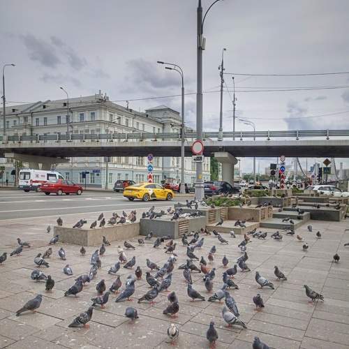 Photo #10737437