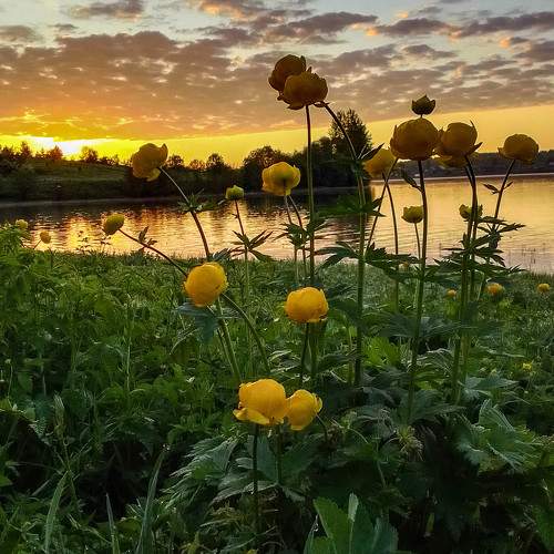 Photo #10737480