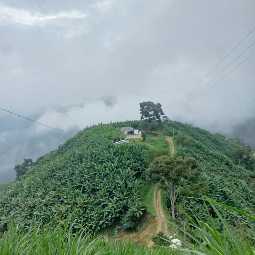 Photo #10738069