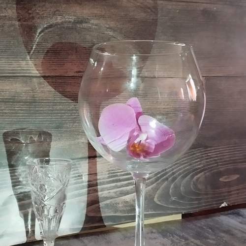 Photo #10738105