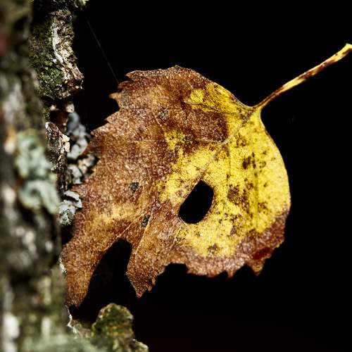 Photo #10738349