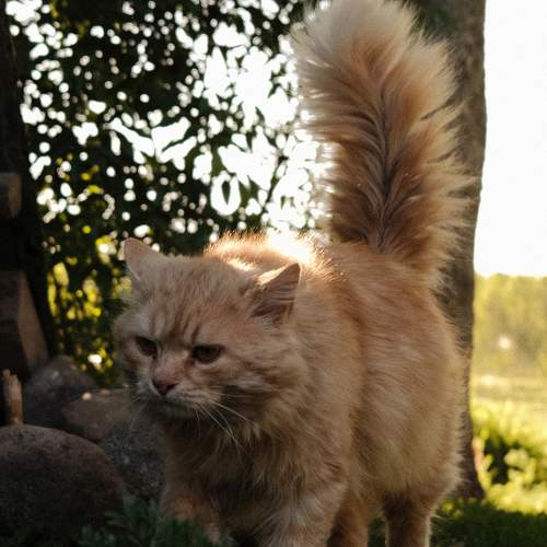 Photo #10738497