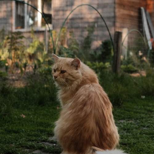 Photo #10738498