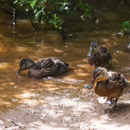 Фотография #10738586