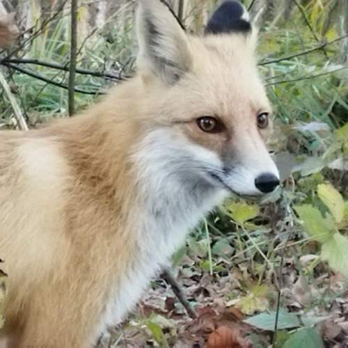 Photo #10738890