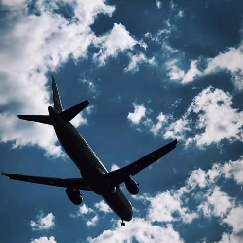 Photo #10739092