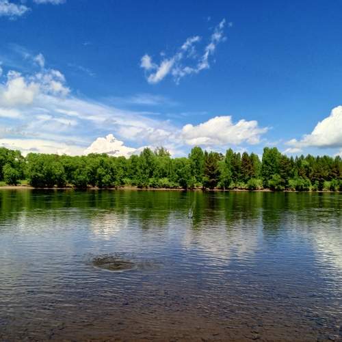Photo #10739222