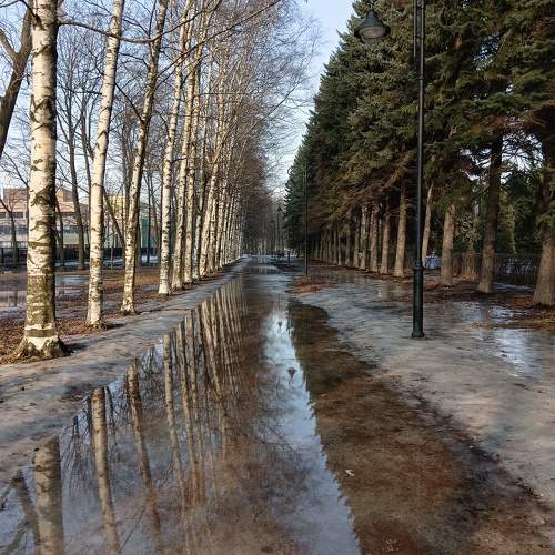 Весенний парк