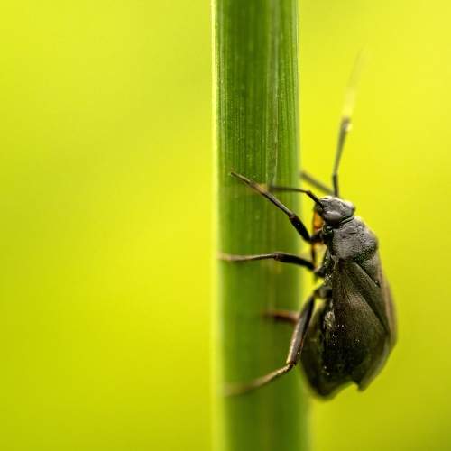 Photo #10739841