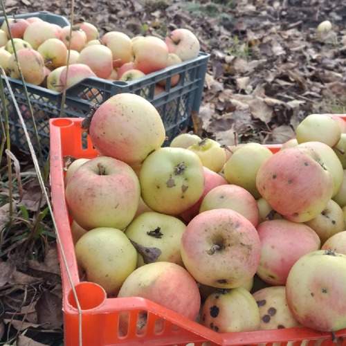 Photo #10739875