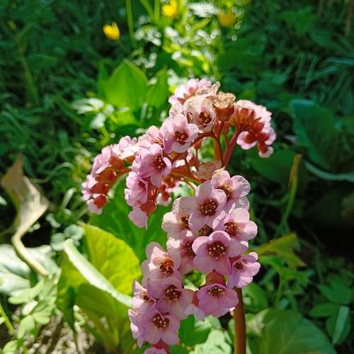 Photo #10740071