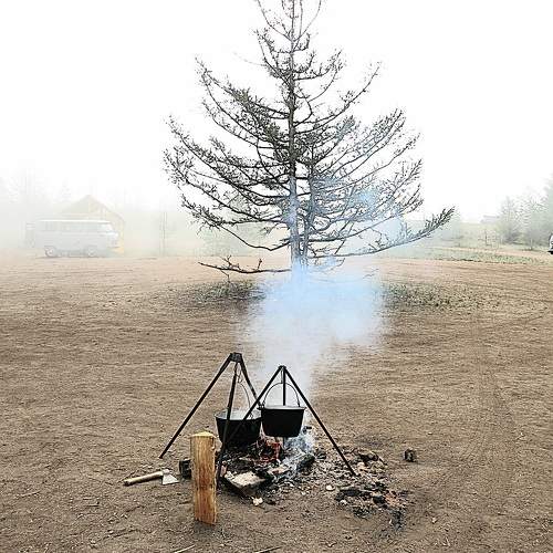 Photo #10740346