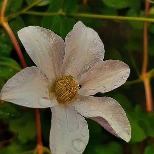 Photo #10740723