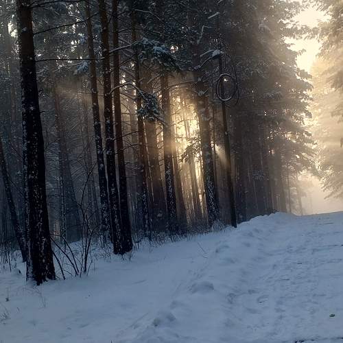 Photo #10740725