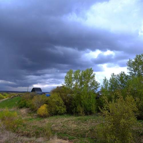 Photo #10740806