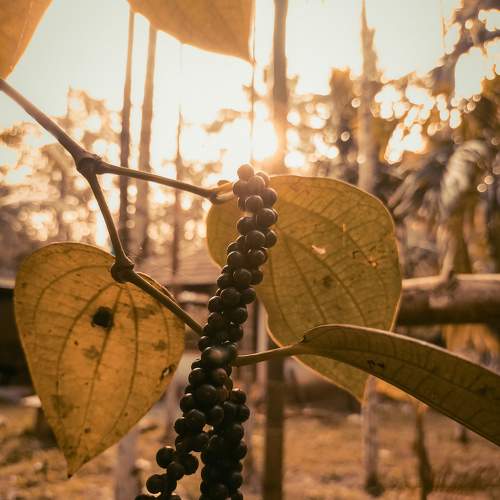 Photo #10740863
