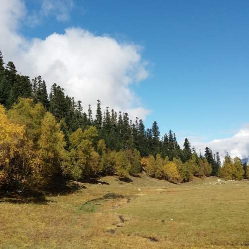 Photo #10741257