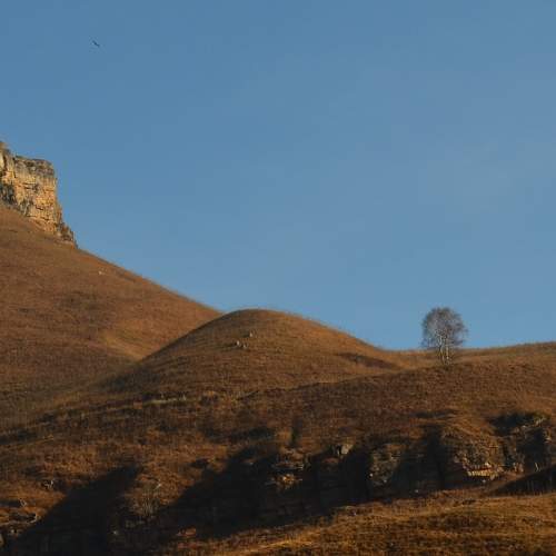 Photo #10741434