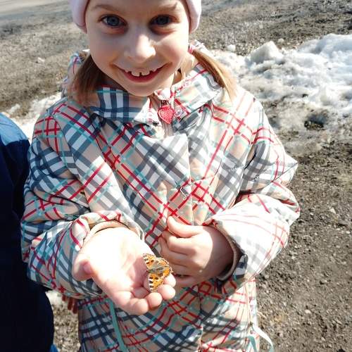 Photo #10741448