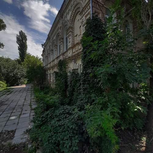 Фотография #10741804