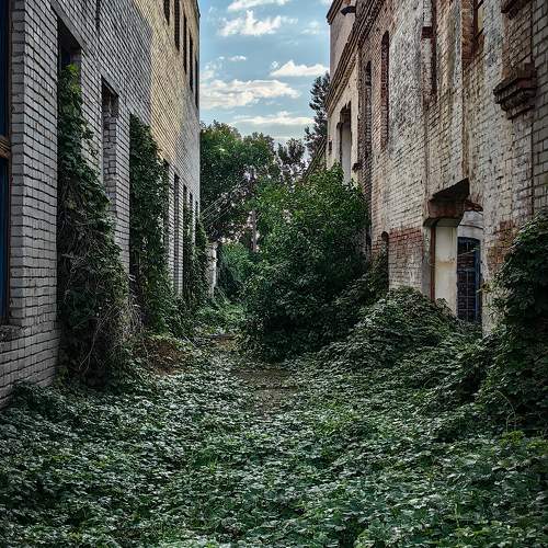 Photo #10741841