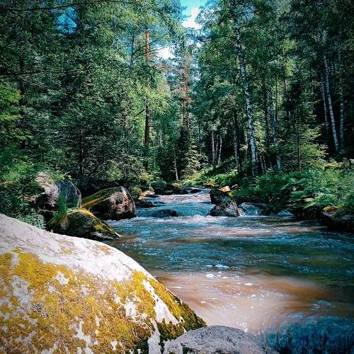 Photo #10741929