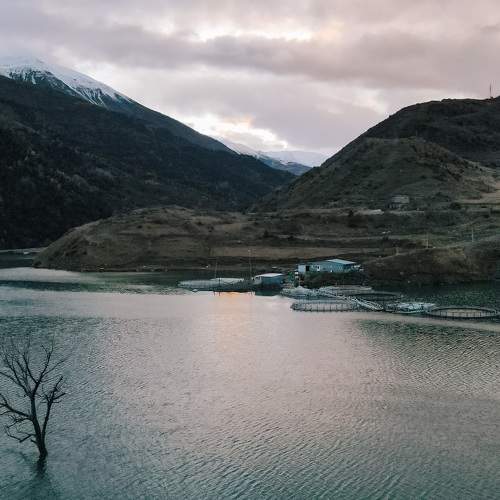 Photo #10741947