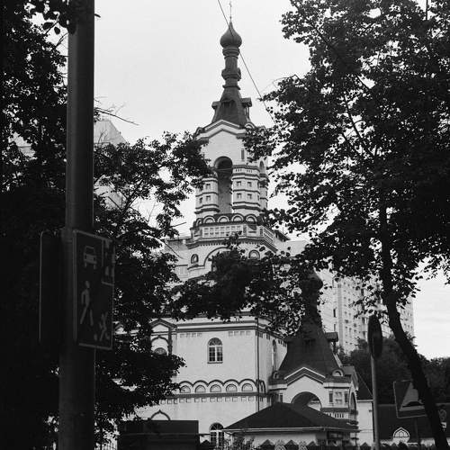Photo #10742005
