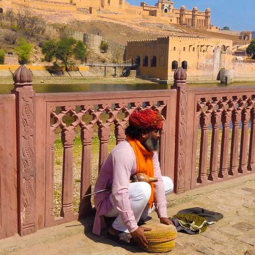 The snake charmer