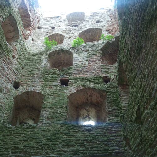 Photo #10742202