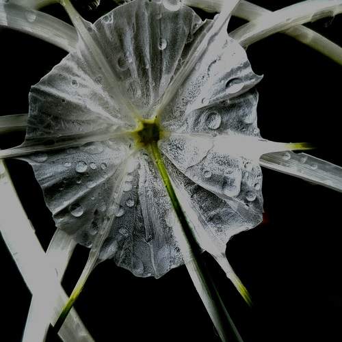 Photo #10742305