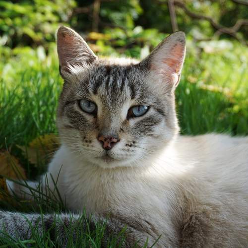 Photo #10742702