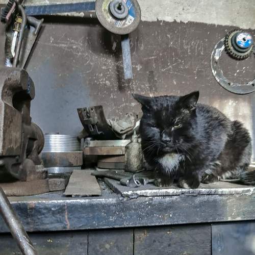 Photo #10743246