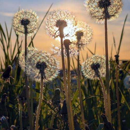 Photo #10743518